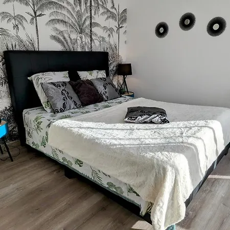 L'immortelle زونزا